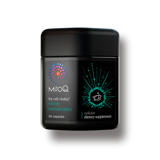 미토큐 +리버 메타볼리즘